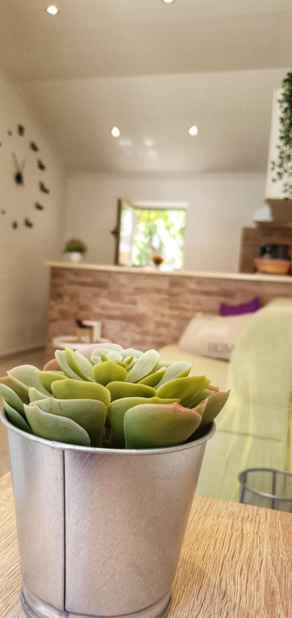 Apartments Marija Vukas Dubrovnik Room photo